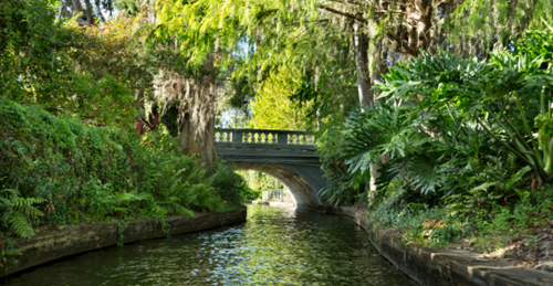 Winter Park Chain of Lakes Historic Boat Tour